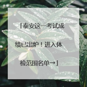 泰安这一考试成绩已出炉！进入体检范围名单→