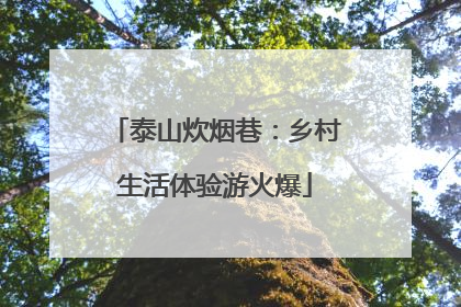 泰山炊烟巷：乡村生活体验游火爆