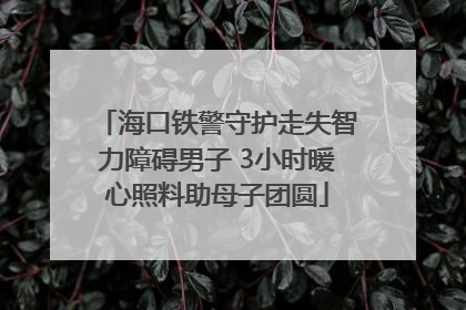 海口铁警守护走失智力障碍男子 3小时暖心照料助母子团圆