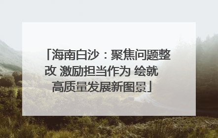 海南白沙：聚焦问题整改 激励担当作为 绘就高质量发展新图景
