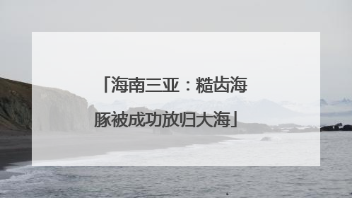 海南三亚：糙齿海豚被成功放归大海