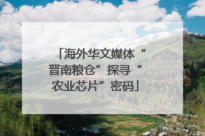 海外华文媒体“晋南粮仓”探寻“农业芯片”密码