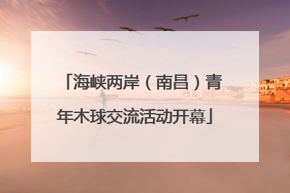 海峡两岸（南昌）青年木球交流活动开幕