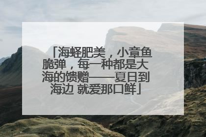海蛏肥美，小章鱼脆弹，每一种都是大海的馈赠——夏日到海边 就爱那口鲜