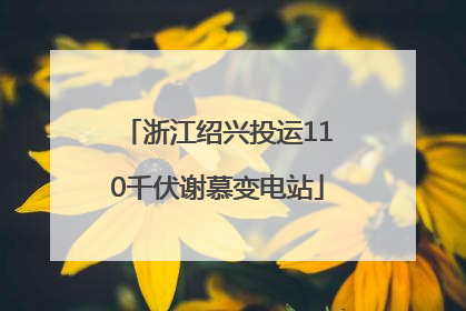 浙江绍兴投运110千伏谢慕变电站