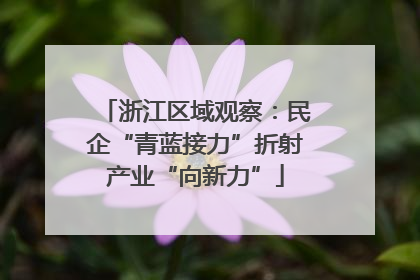 浙江区域观察：民企“青蓝接力”折射产业“向新力”