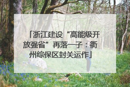 浙江建设“高能级开放强省”再落一子：衢州综保区封关运作