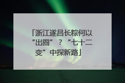 浙江遂昌长粽何以“出圈”？“七十二变”中探新路