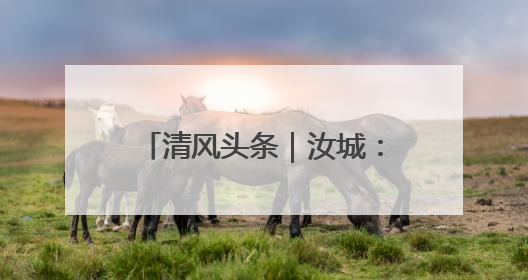 清风头条｜汝城：“点题整治”推动解决群众急难愁盼