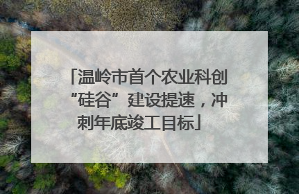 温岭市首个农业科创“硅谷”建设提速，冲刺年底竣工目标