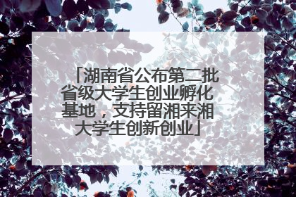湖南省公布第二批省级大学生创业孵化基地，支持留湘来湘大学生创新创业