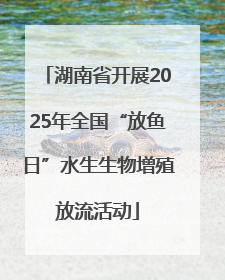 湖南省开展2025年全国“放鱼日”水生生物增殖放流活动
