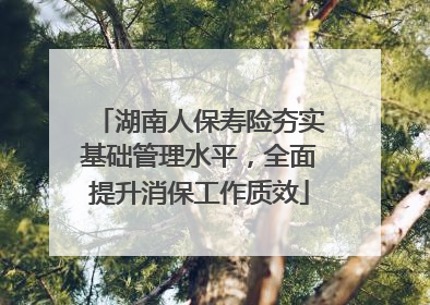 湖南人保寿险夯实基础管理水平，全面提升消保工作质效