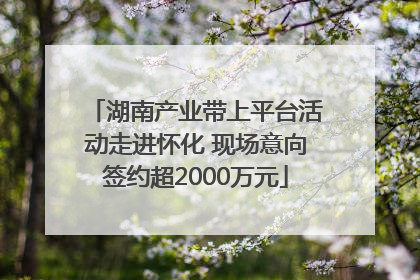 湖南产业带上平台活动走进怀化 现场意向签约超2000万元