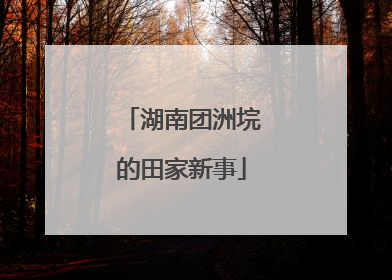 湖南团洲垸的田家新事