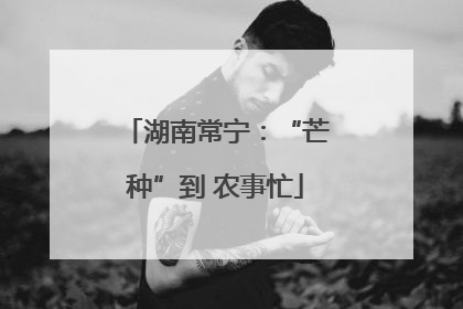 湖南常宁：“芒种”到 农事忙