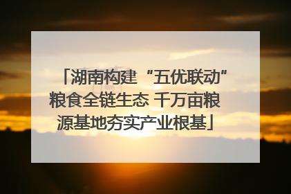湖南构建“五优联动”粮食全链生态 千万亩粮源基地夯实产业根基