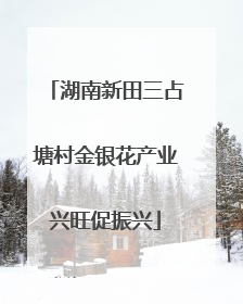 湖南新田三占塘村金银花产业兴旺促振兴