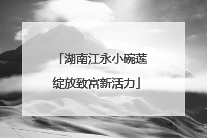 湖南江永小碗莲绽放致富新活力