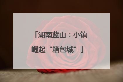 湖南蓝山：小镇崛起“箱包城”