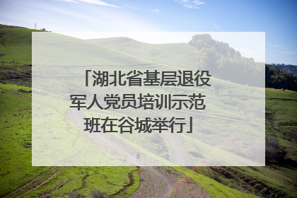 湖北省基层退役军人党员培训示范班在谷城举行