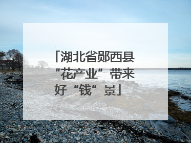 湖北省郧西县“花产业”带来好“钱”景