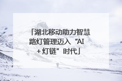 湖北移动助力智慧路灯管理迈入“AI＋灯链”时代