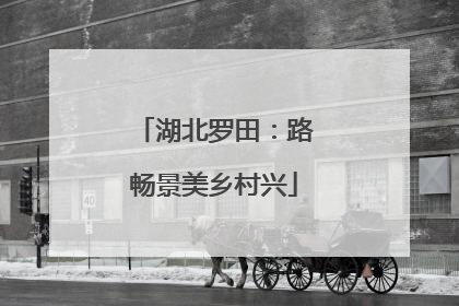湖北罗田：路畅景美乡村兴