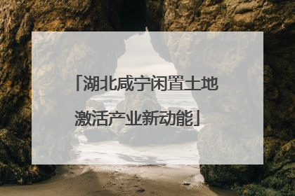 湖北咸宁闲置土地激活产业新动能