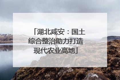 湖北咸安：国土综合整治助力打造现代农业高地