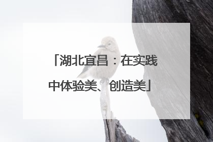 湖北宜昌：在实践中体验美、创造美