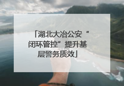 湖北大冶公安“闭环管控”提升基层警务质效