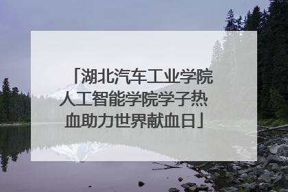 湖北汽车工业学院人工智能学院学子热血助力世界献血日