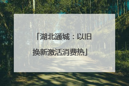 湖北通城：以旧换新激活消费热