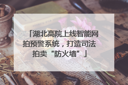 湖北高院上线智能网拍预警系统，打造司法拍卖“防火墙”