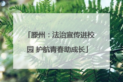 滕州：法治宣传进校园 护航青春助成长