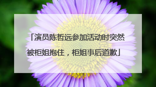 演员陈哲远参加活动时突然被柜姐抱住，柜姐事后道歉