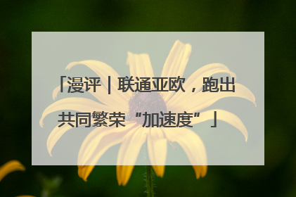 漫评｜联通亚欧，跑出共同繁荣“加速度”