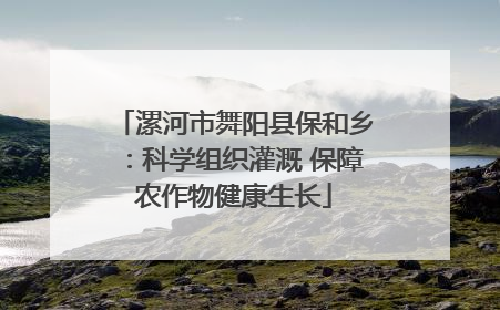 漯河市舞阳县保和乡：科学组织灌溉 保障农作物健康生长