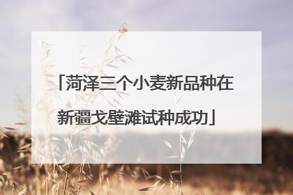 菏泽三个小麦新品种在新疆戈壁滩试种成功