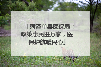 菏泽单县医保局：政策惠民进万家，医保护航暖民心