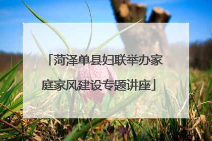菏泽单县妇联举办家庭家风建设专题讲座