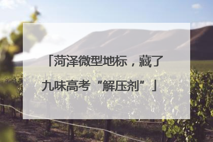 菏泽微型地标，藏了九味高考“解压剂”