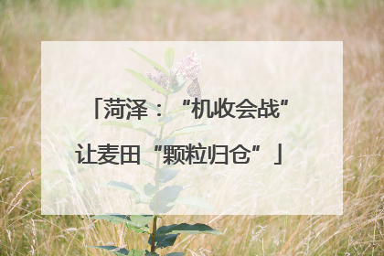 菏泽：“机收会战”让麦田“颗粒归仓”