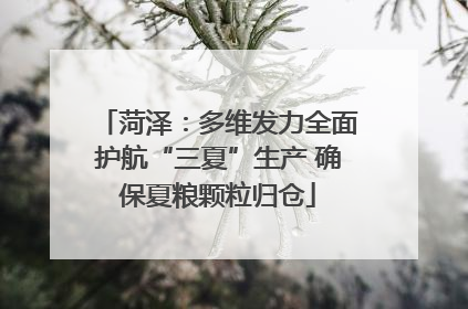 菏泽：多维发力全面护航“三夏”生产 确保夏粮颗粒归仓