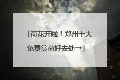 荷花开啦！郑州十大免费赏荷好去处→