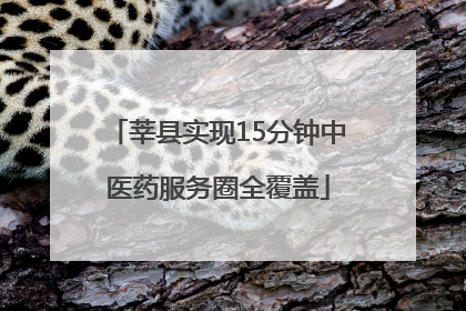 莘县实现15分钟中医药服务圈全覆盖
