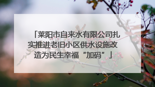 莱阳市自来水有限公司扎实推进老旧小区供水设施改造为民生幸福“加码”