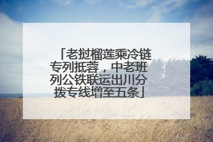 老挝榴莲乘冷链专列抵蓉，中老班列公铁联运出川分拨专线增至五条