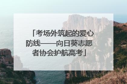 考场外筑起的爱心防线——向日葵志愿者协会护航高考